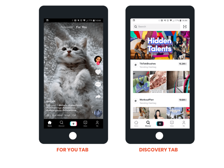 Tout savoir sur TikTok publicité et marketing  Bloom